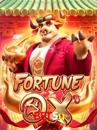 BET5U.COM